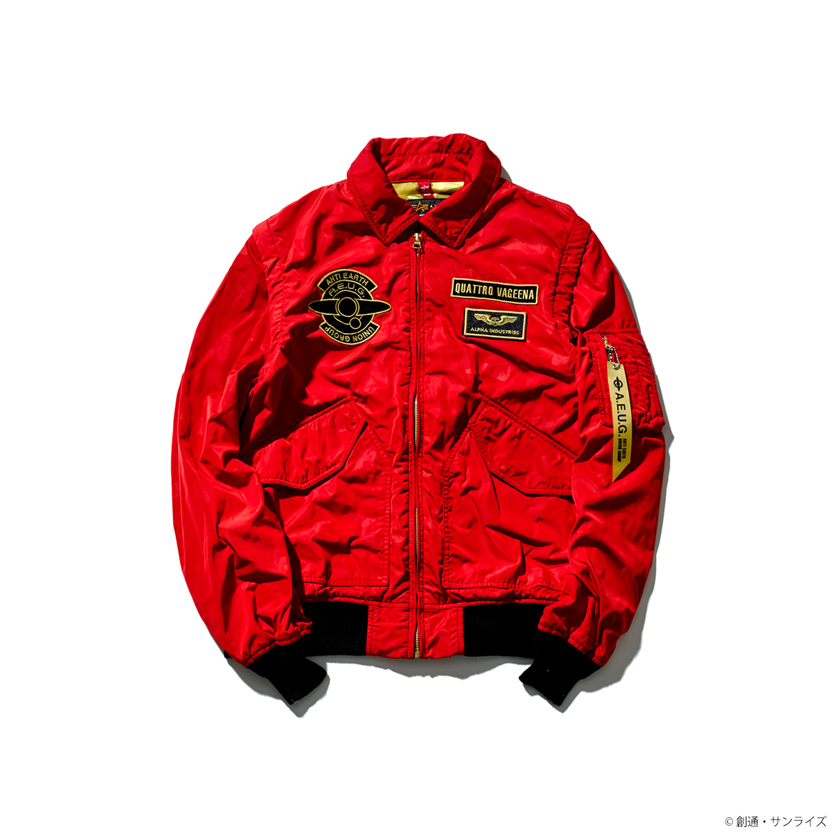 strict-g ALPHA INDUSTRIES CWU-36/P クワトロ購入後暗所にて保管していました